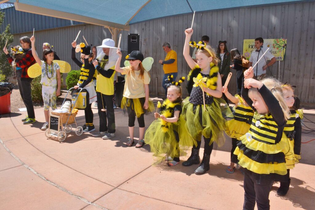 Bee-Contestants-with-their-numbers