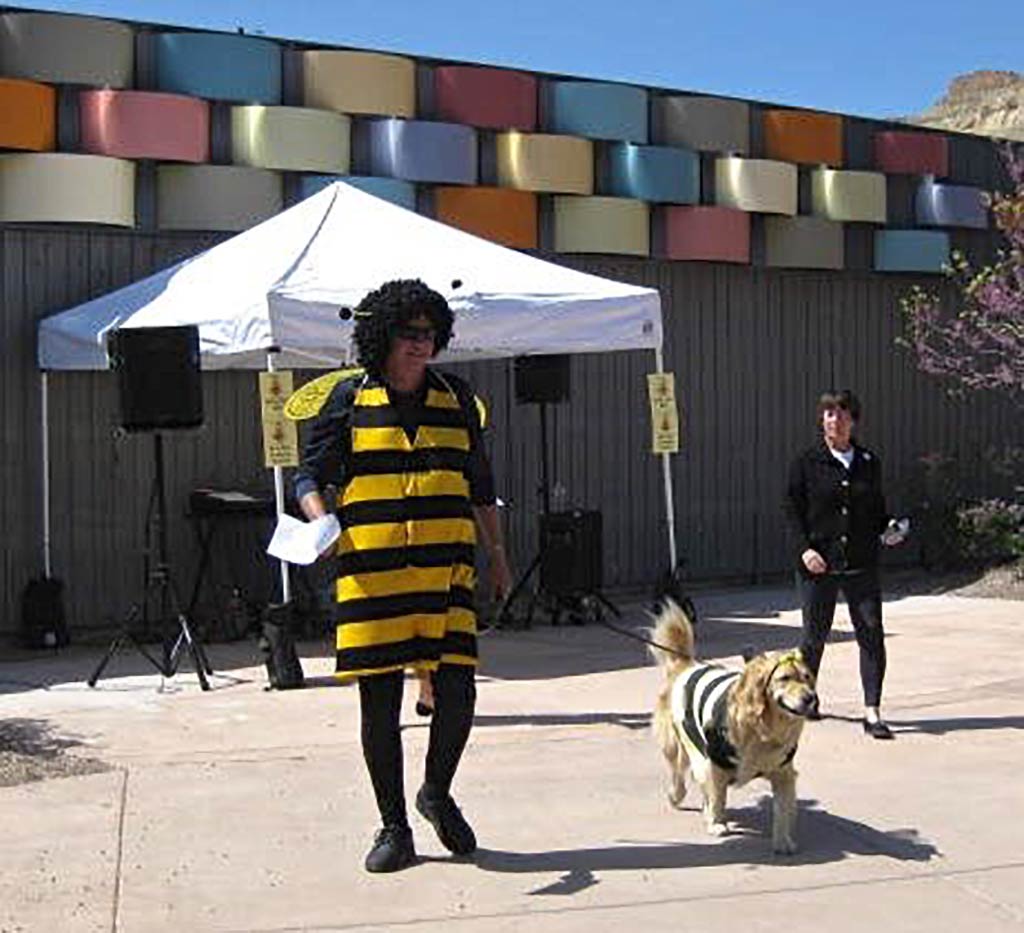 Best-Bee-Costume-Dog