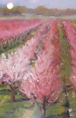 orchard-258x400